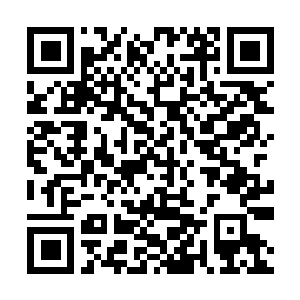 Link to your fundraiser QRCode - Fundraising
