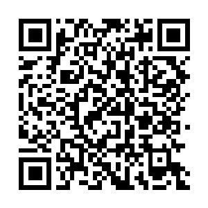 Link to your fundraiser QRCode - Fundraising