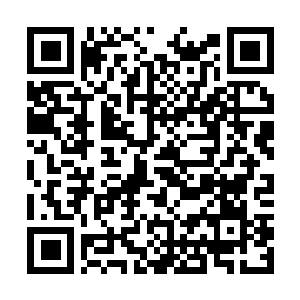 Link to your fundraiser QRCode - Fundraising