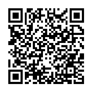 Link to your fundraiser QRCode - Fundraising