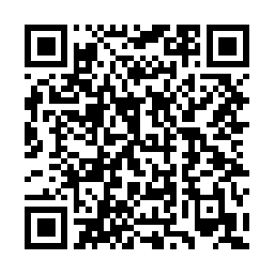 Link to your fundraiser QRCode - Fundraising