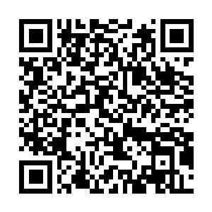 Link to your fundraiser QRCode - Fundraising
