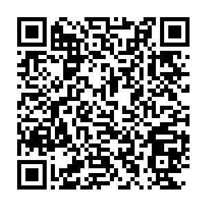Link to your fundraiser QRCode - Fundraising