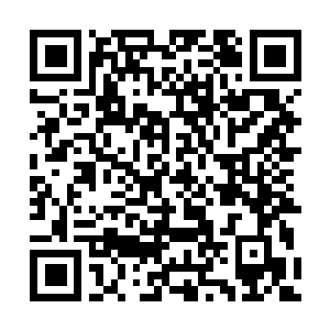 Link to your fundraiser QRCode - Fundraising