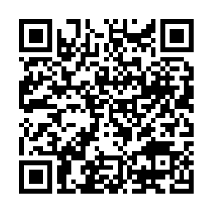 Link to your fundraiser QRCode - Fundraising