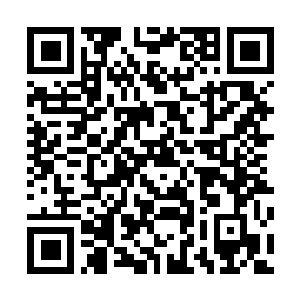 Link to your fundraiser QRCode - Fundraising