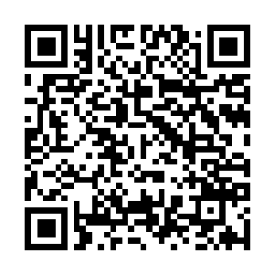 Link to your fundraiser QRCode - Fundraising