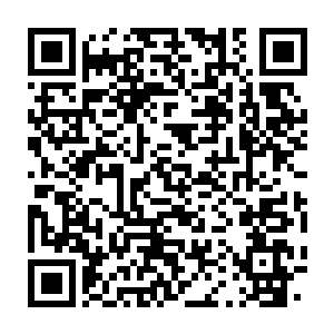 Link to your fundraiser QRCode - Fundraising