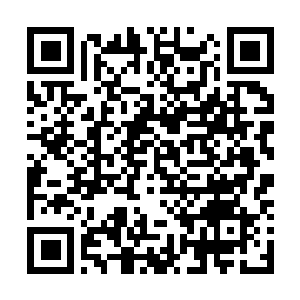 Link to your fundraiser QRCode - Fundraising