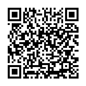 Link to your fundraiser QRCode - Fundraising