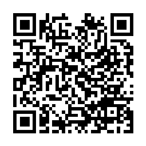 Link to your fundraiser QRCode - Fundraising