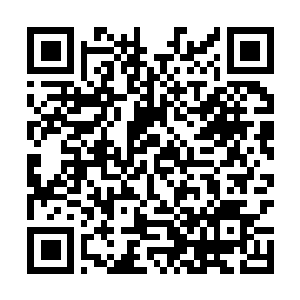 Link to your fundraiser QRCode - Fundraising