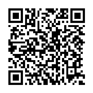 Link to your fundraiser QRCode - Fundraising