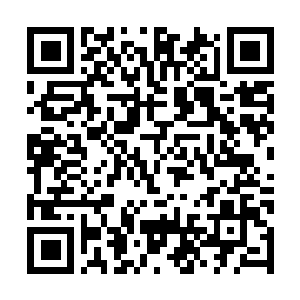 Link to your fundraiser QRCode - Fundraising