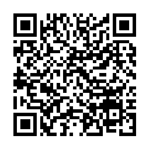 Link to your fundraiser QRCode - Fundraising