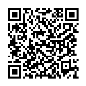 Link to your fundraiser QRCode - Fundraising