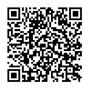 Link to your fundraiser QRCode - Fundraising