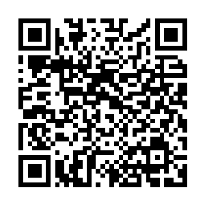 Link to your fundraiser QRCode - Fundraising