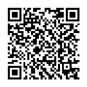 Link to your fundraiser QRCode - Fundraising