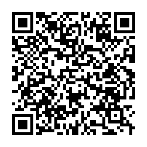 Link to your fundraiser QRCode - Fundraising