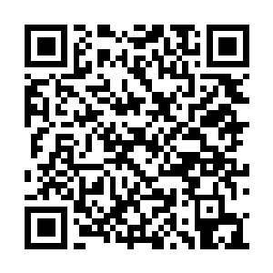 Link to your fundraiser QRCode - Fundraising
