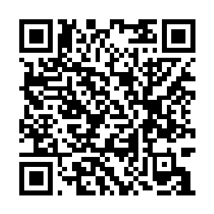 Link to your fundraiser QRCode - Fundraising