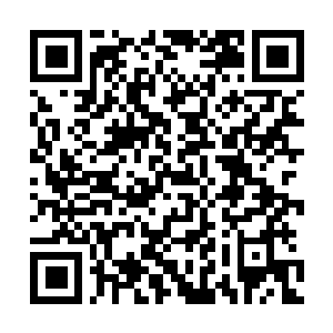 Link to your fundraiser QRCode - Fundraising