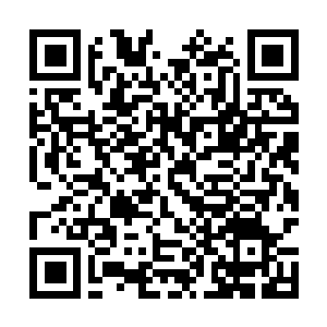 Link to your fundraiser QRCode - Fundraising