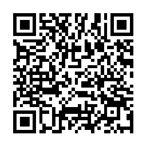 Link to your fundraiser QRCode - Fundraising