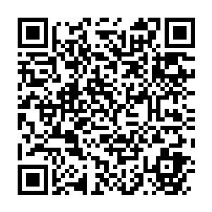 Link to your fundraiser QRCode - Fundraising