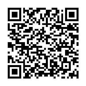 Link to your fundraiser QRCode - Fundraising