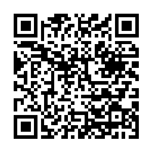 Link to your fundraiser QRCode - Fundraising