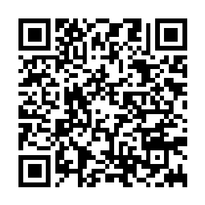 Link to your fundraiser QRCode - Fundraising