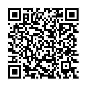 Link to your fundraiser QRCode - Fundraising