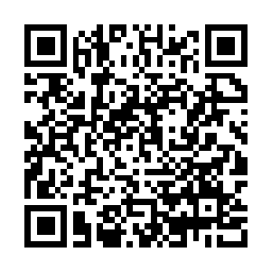 Link to your fundraiser QRCode - Fundraising