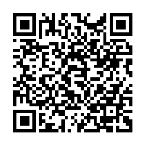 Link to your fundraiser QRCode - Fundraising