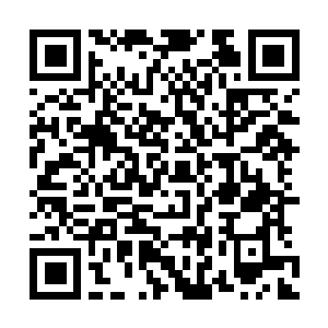 Link to your fundraiser QRCode - Fundraising