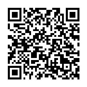 Link to your fundraiser QRCode - Fundraising