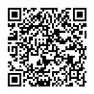 Link zu deiner Spendenaktion QRCode - Fundraising