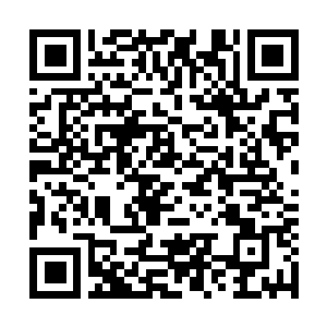 Link zu deiner Spendenaktion QRCode - Fundraising