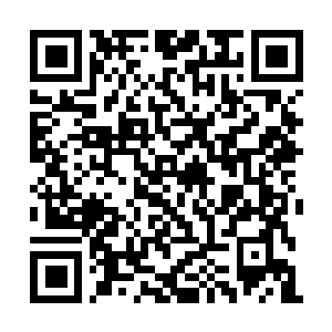 Link zu deiner Spendenaktion QRCode - Fundraising