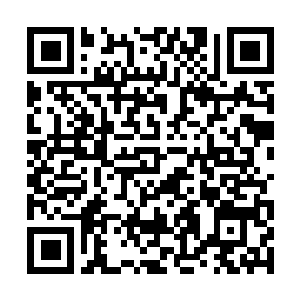 Link zu deiner Spendenaktion QRCode - Fundraising