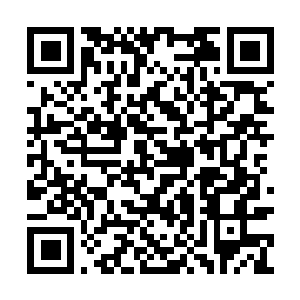 Link zu deiner Spendenaktion QRCode - Fundraising