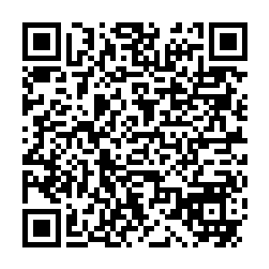 Link zu deiner Spendenaktion QRCode - Fundraising