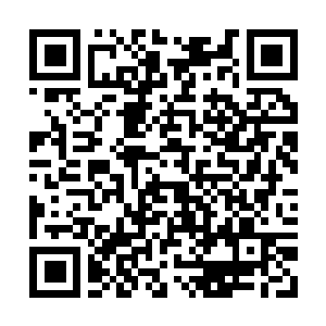 Link zu deiner Spendenaktion QRCode - Fundraising