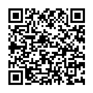 Link zu deiner Spendenaktion QRCode - Fundraising