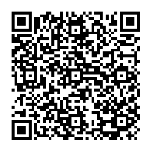 Link zu deiner Spendenaktion QRCode - Fundraising