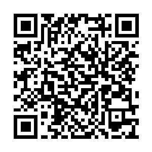 Link zu deiner Spendenaktion QRCode - Fundraising
