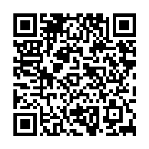 Link zu deiner Spendenaktion QRCode - Fundraising