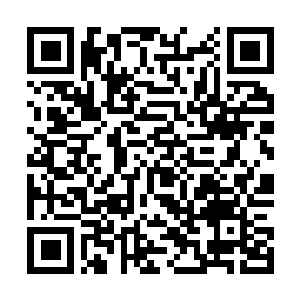 Link zu deiner Spendenaktion QRCode - Fundraising